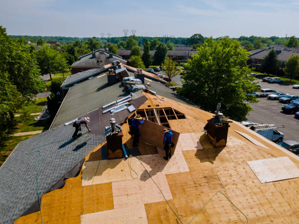 Best Flat Roof Repair Services  in Warren, PA