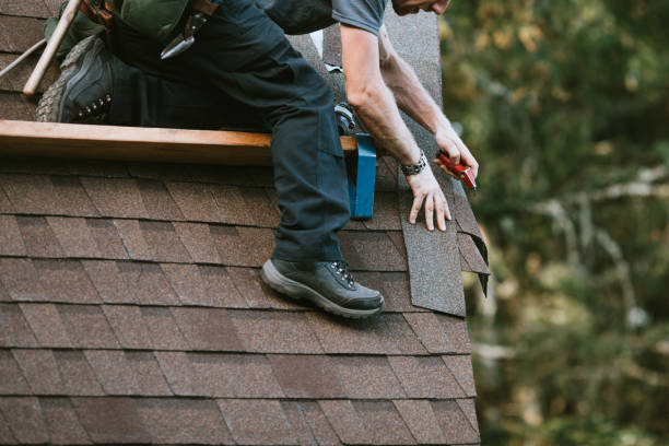 Best Roof Gutter Cleaning  in Warren, PA